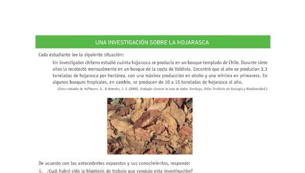 Evaluación Programas - CN1M - OA07 - U3 - UNA INVESTIGACIÓN SOBRE LA HOJARASCA Evaluación Programas - CN1M - OA07 - U3 - UNA INVESTIGACIÓN SOBRE LA HOJARASCA