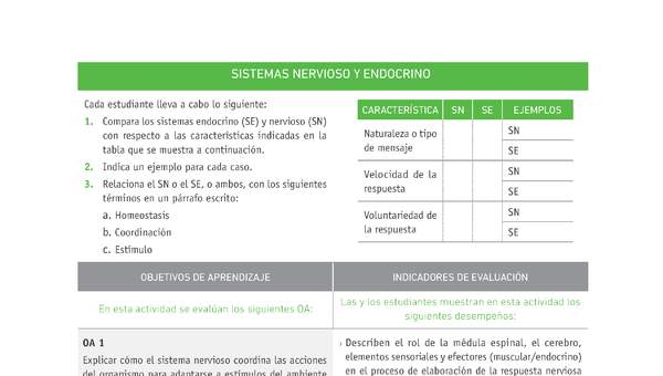 Evaluación Programas - CN2M - OA01 - OA02 - U1 - SISTEMAS NERVIOSO Y ENDOCRINO Evaluación Programas - CN2M - OA01 - OA02 - U1 - SISTEMAS NERVIOSO Y ENDOCRINO