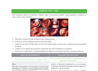 Evaluación Programas - CN2M - OA04 - U2 - EMBRIÓN, FETO Y NIÑO Evaluación Programas - CN2M - OA04 - U2 - EMBRIÓN, FETO Y NIÑO