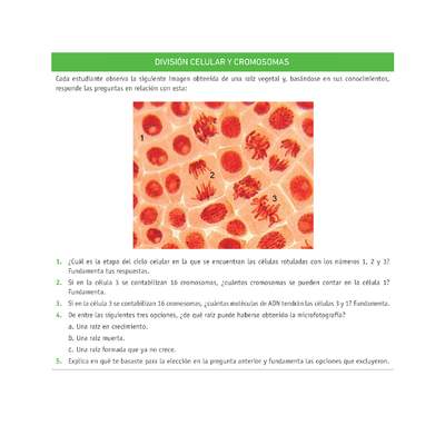 Evaluación Programas - CN2M - OA06 - U3 - DIVISIÓN CELULAR Y CROMOSOMAS Evaluación Programas - CN2M - OA06 - U3 - DIVISIÓN CELULAR Y CROMOSOMAS