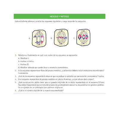 Evaluación Programas - CN2M - OA06 - U3 - MEIOSIS Y MITOSIS Evaluación Programas - CN2M - OA06 - U3 - MEIOSIS Y MITOSIS
