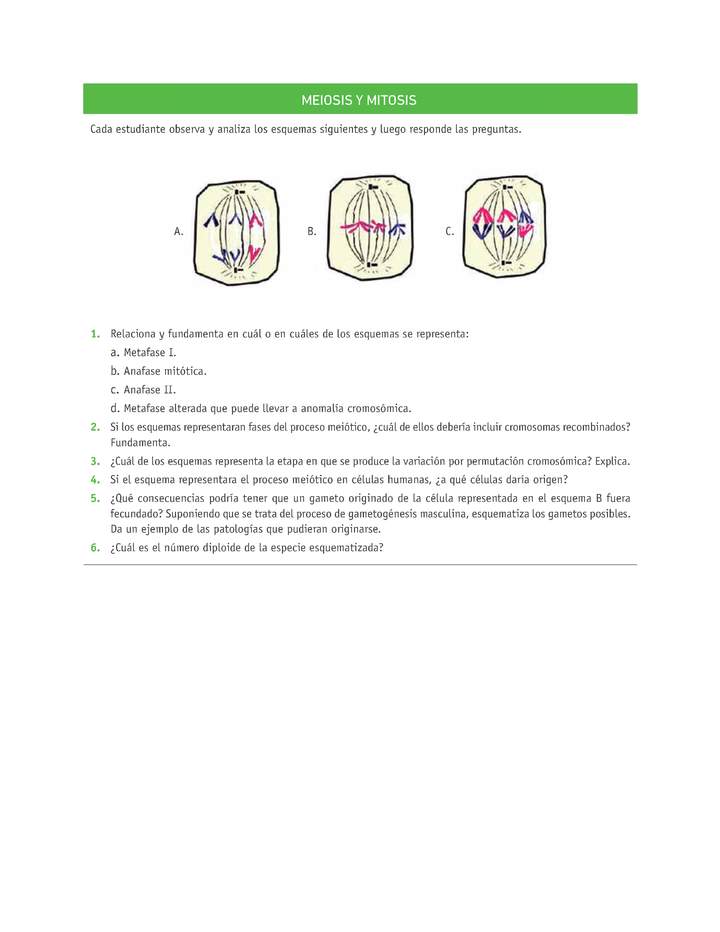Evaluación Programas - CN2M - OA06 - U3 - MEIOSIS Y MITOSIS Evaluación Programas - CN2M - OA06 - U3 - MEIOSIS Y MITOSIS