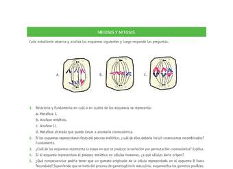 Evaluación Programas - CN2M - OA06 - U3 - MEIOSIS Y MITOSIS Evaluación Programas - CN2M - OA06 - U3 - MEIOSIS Y MITOSIS