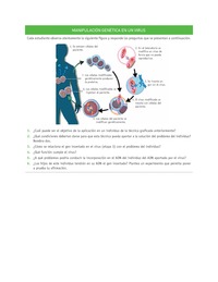 Evaluación Programas - CN2M - OA08 - U4 - MANIPULACIÓN GENÉTICA EN UN VIRUS Evaluación Programas - CN2M - OA08 - U4 - MANIPULACIÓN GENÉTICA EN UN VIRUS