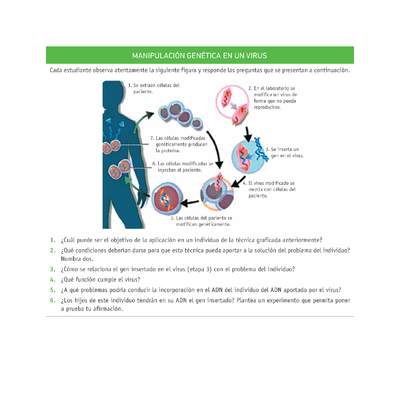 Evaluación Programas - CN2M - OA08 - U4 - MANIPULACIÓN GENÉTICA EN UN VIRUS Evaluación Programas - CN2M - OA08 - U4 - MANIPULACIÓN GENÉTICA EN UN VIRUS