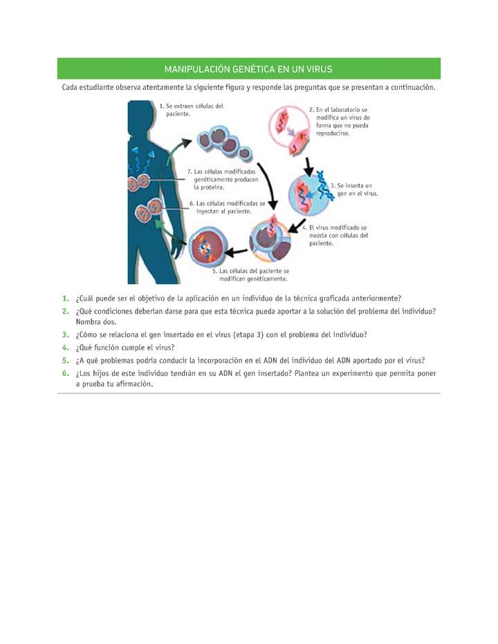 Evaluación Programas - CN2M - OA08 - U4 - MANIPULACIÓN GENÉTICA EN UN VIRUS Evaluación Programas - CN2M - OA08 - U4 - MANIPULACIÓN GENÉTICA EN UN VIRUS