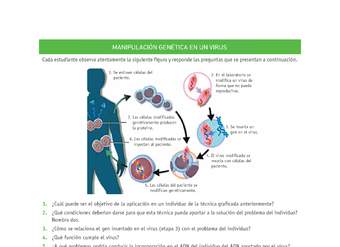 Evaluación Programas - CN2M - OA08 - U4 - MANIPULACIÓN GENÉTICA EN UN VIRUS Evaluación Programas - CN2M - OA08 - U4 - MANIPULACIÓN GENÉTICA EN UN VIRUS