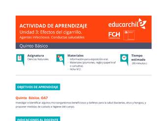 Efectos del cigarrillo Orientación 5º básico OA5 Efectos del cigarrillo Orientación 5º básico OA5