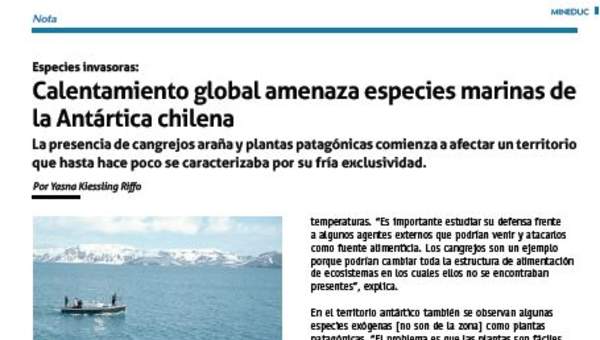 Calentamiento global amenaza especies marinas de la Antártica chilena Calentamiento global amenaza especies marinas de la Antártica chilena
