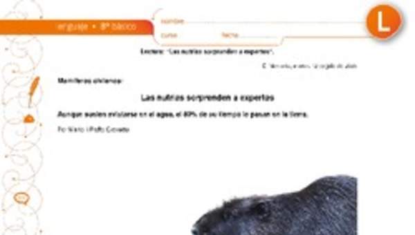 Las nutrias sorprenden a expertos Las nutrias sorprenden a expertos