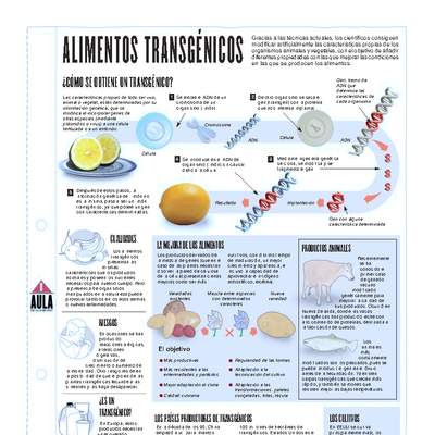 Infografía: Alimentos transgénicos Infografía: Alimentos transgénicos