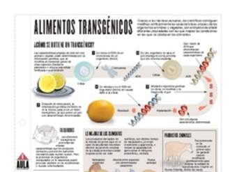 Infografía: Alimentos transgénicos Infografía: Alimentos transgénicos