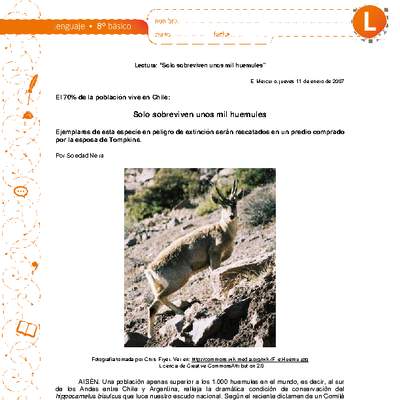 Solo sobreviven unos mil huemules Solo sobreviven unos mil huemules