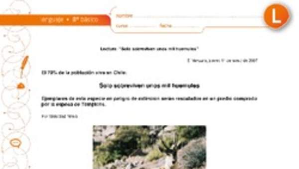 Solo sobreviven unos mil huemules Solo sobreviven unos mil huemules