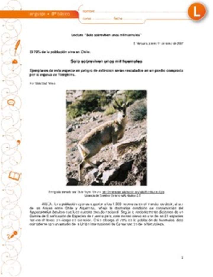 Solo sobreviven unos mil huemules Solo sobreviven unos mil huemules