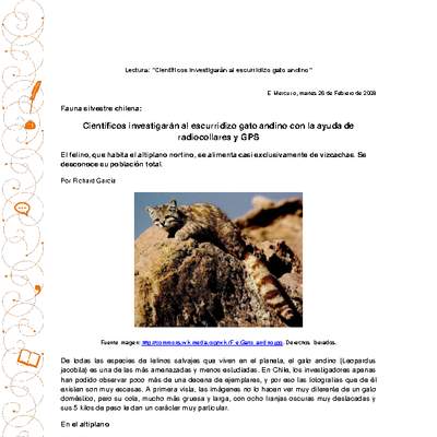 Científicos investigarán al escurridizo gato andino con la ayuda de radiocollares y gps Científicos investigarán al escurridizo gato andino con la ayuda de radiocollares y gps