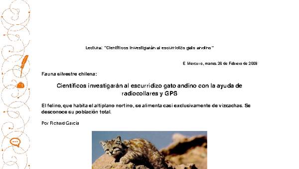 Científicos investigarán al escurridizo gato andino con la ayuda de radiocollares y gps Científicos investigarán al escurridizo gato andino con la ayuda de radiocollares y gps