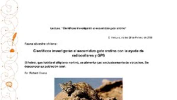 Científicos investigarán al escurridizo gato andino con la ayuda de radiocollares y gps Científicos investigarán al escurridizo gato andino con la ayuda de radiocollares y gps