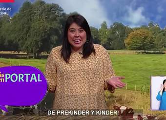 AprendoTV - Lenguaje artístico Pre-kinder y Kinder/ Capítulo 6 AprendoTV - Lenguaje artístico Pre-kinder y Kinder/ Capítulo 6