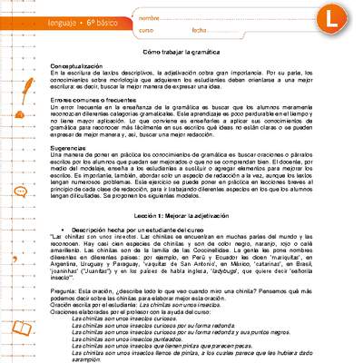 Cómo trabajar la gramática Cómo trabajar la gramática