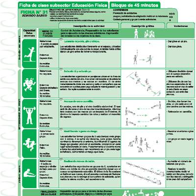 Conducta segura Ficha N° 31 Conducta segura Ficha N° 31