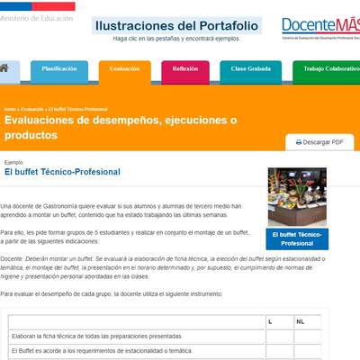 Ejemplo pauta de cotejo Ejemplo pauta de cotejo