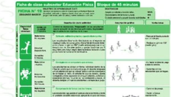 Habito y cultura de movimiento Ficha N° 19 Habito y cultura de movimiento Ficha N° 19