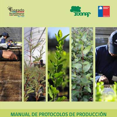 CONAF. (2014). Manual de protocolos de producción de especies utilizadas por el programa de arborización. CONAF. (2014). Manual de protocolos de producción de especies utilizadas por el programa de arborización.
