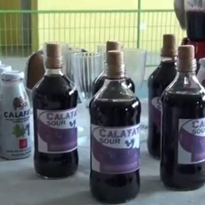 InforTV del instituto Forestal (11dic.2019). Encuentro Técnico de investigadores de INFOR de la línea de productos forestales no madereros. InforTV del instituto Forestal (11dic.2019). Encuentro Técnico de investigadores de INFOR de la línea de productos forestales no madereros.