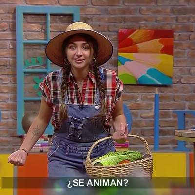 AprendoTV- Lenguaje 1° y 2° básico /Capítulo 24 AprendoTV- Lenguaje 1° y 2° básico /Capítulo 24