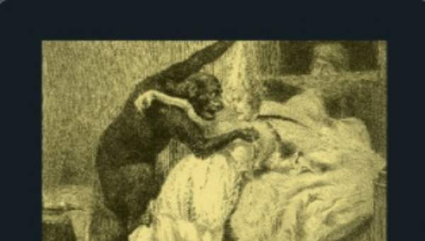 Los crímenes de la calle Morgue y otros casos de Auguste Dupin