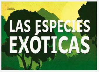 Cápsula especies exóticas invasoras Cápsula especies exóticas invasoras