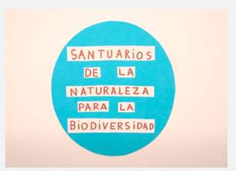 Video Santuarios de la Naturaleza Video Santuarios de la Naturaleza