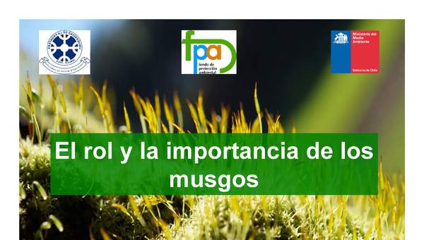 Presentación rol e Importancia musgos Presentación rol e Importancia musgos