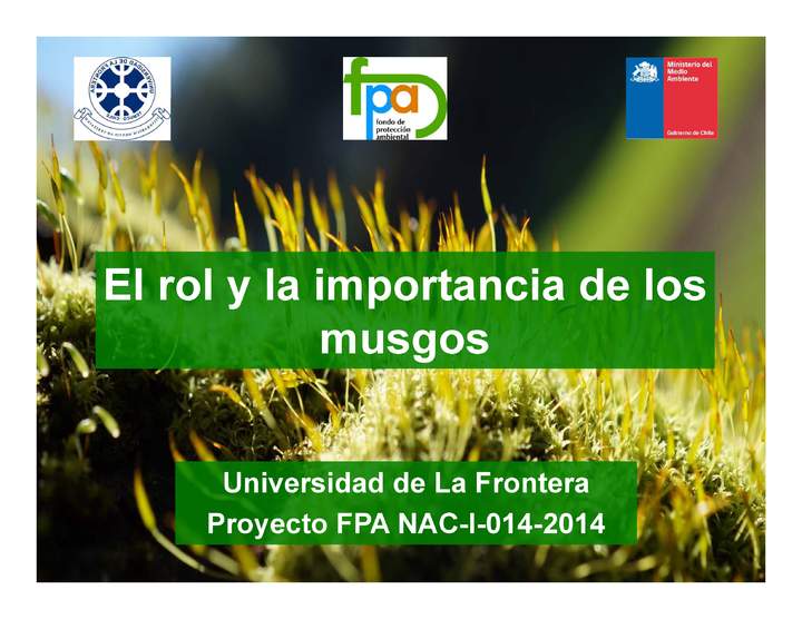 Presentación rol e Importancia musgos Presentación rol e Importancia musgos