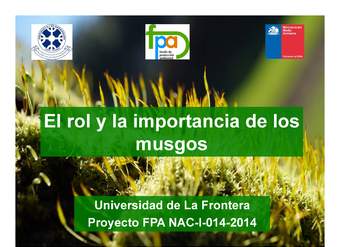 Presentación rol e Importancia musgos Presentación rol e Importancia musgos