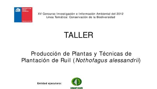 Presentación plantación de Ruil Presentación plantación de Ruil