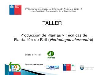 Presentación plantación de Ruil Presentación plantación de Ruil