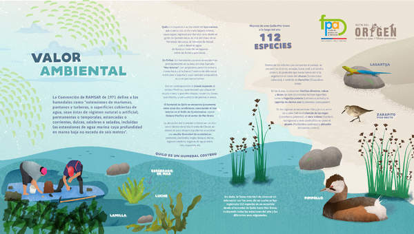 Afiche valor ambiental humedal Quilo Afiche valor ambiental humedal Quilo