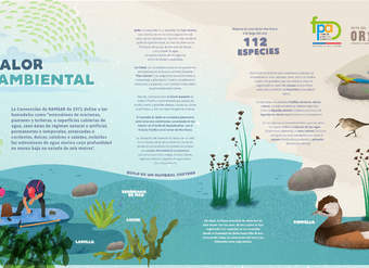 Afiche valor ambiental humedal Quilo Afiche valor ambiental humedal Quilo