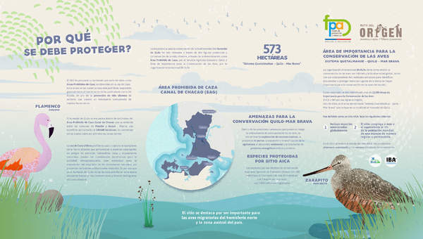 Afiche conservación aves Quetalmahue – Quilo – Mar Brava Afiche conservación aves Quetalmahue – Quilo – Mar Brava