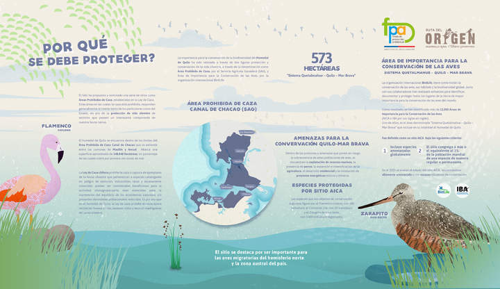 Afiche conservación aves Quetalmahue – Quilo – Mar Brava Afiche conservación aves Quetalmahue – Quilo – Mar Brava