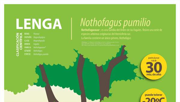 Afiche Lenga Afiche Lenga