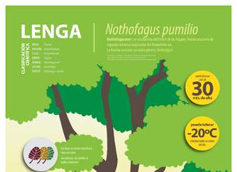 Afiche Lenga Afiche Lenga