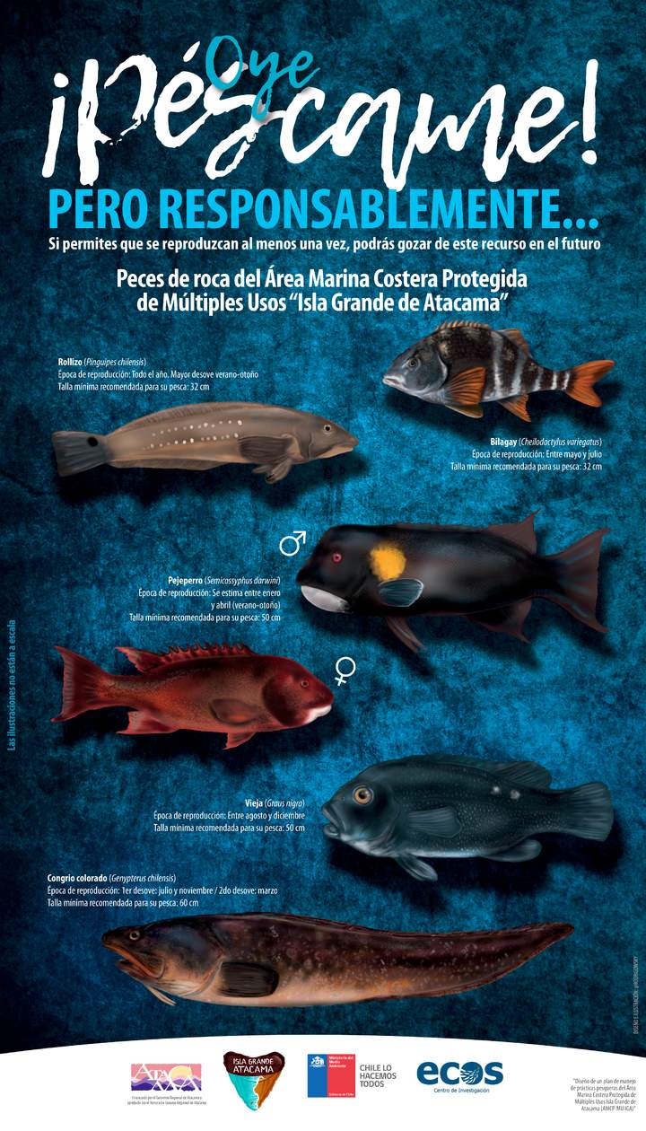 Afiche ¡Péscame! Pero responsablemente