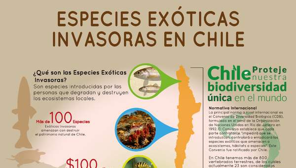 Afiche Especies Exóticas Invasoras en Chile 2 Afiche Especies Exóticas Invasoras en Chile 2