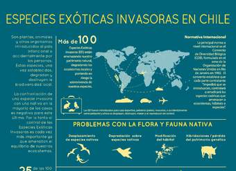 Afiche Especies Exóticas Invasoras en Chile 1 Afiche Especies Exóticas Invasoras en Chile 1