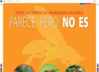 Afiche especies exóticas invasoras: Parece pero no es Afiche especies exóticas invasoras: Parece pero no es
