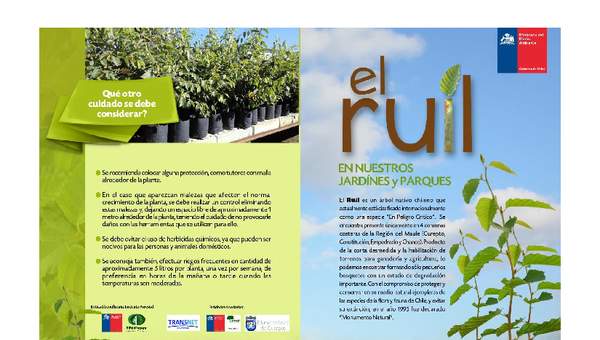 Díptico el ruil en jardines y parques Díptico el ruil en jardines y parques
