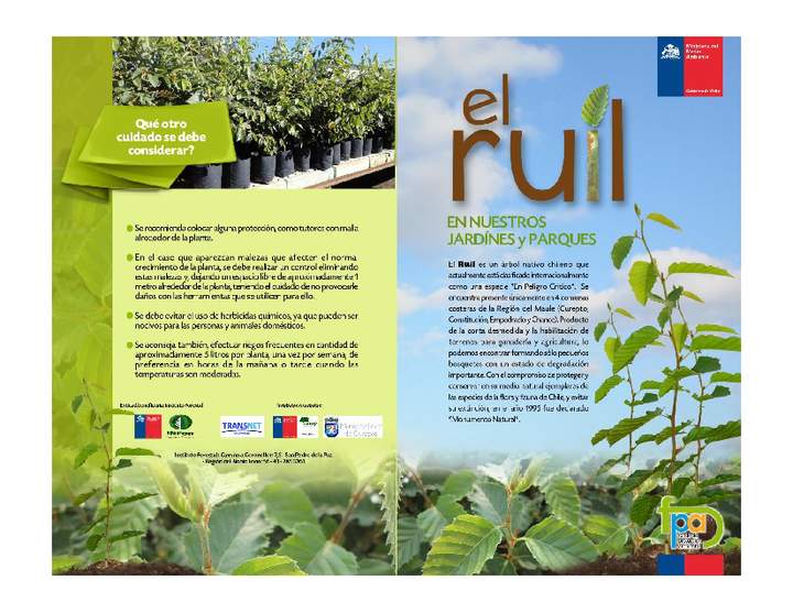 Díptico el ruil en jardines y parques Díptico el ruil en jardines y parques